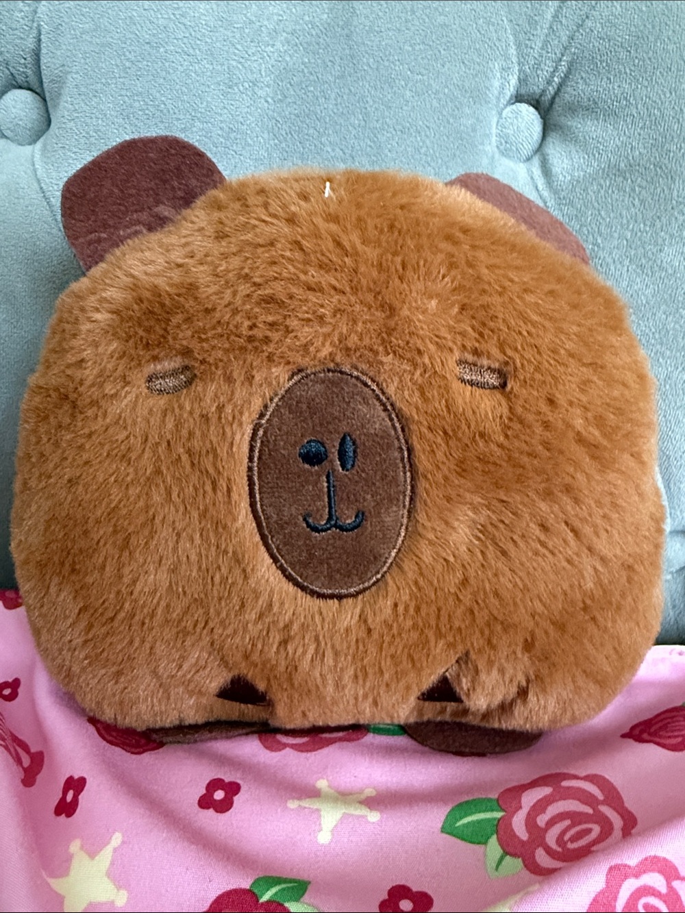 Capybara brown Plush Kids Toy - Soft Cuddly Companion